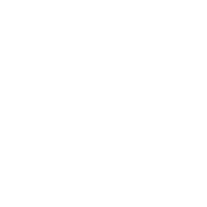 pizza pizza logo