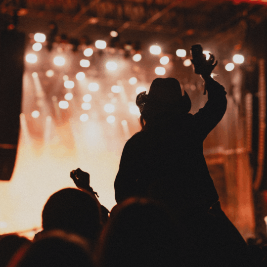 general admission fan